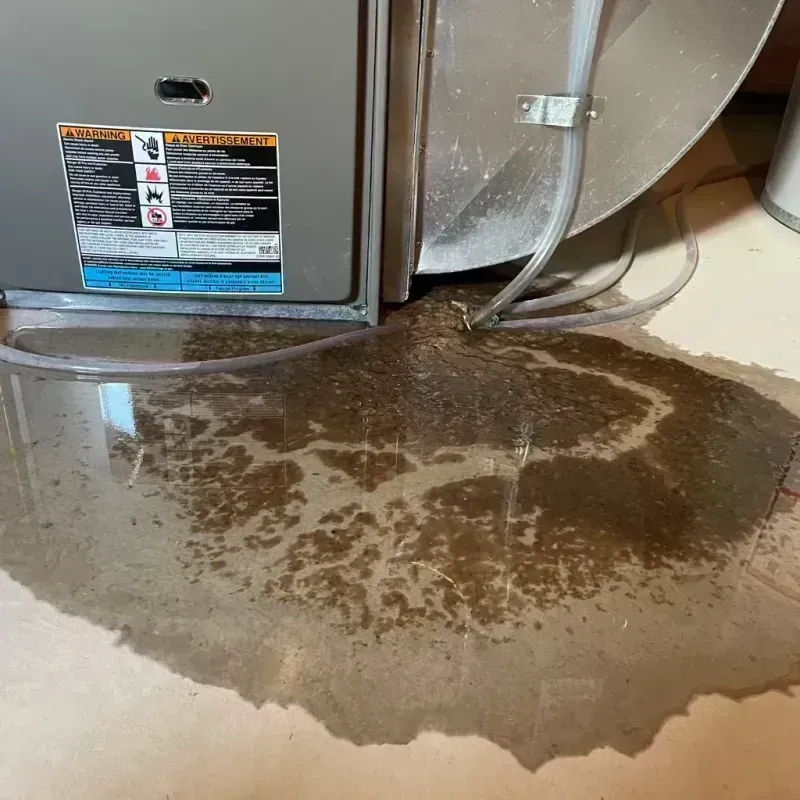 Appliance Leak Cleanup in Ashland, IL